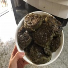 芽麦塌饼